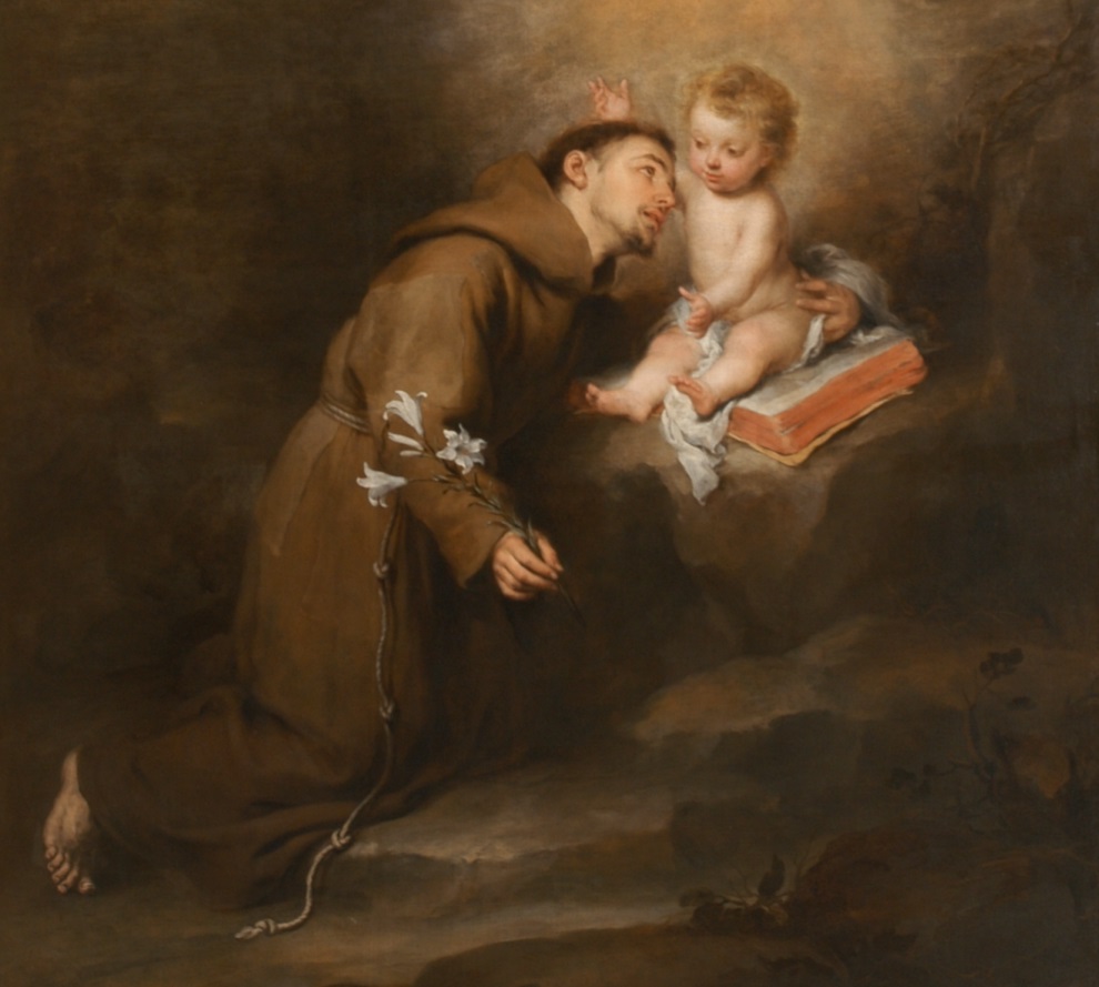 Saint Anthony of Padua with the Child web