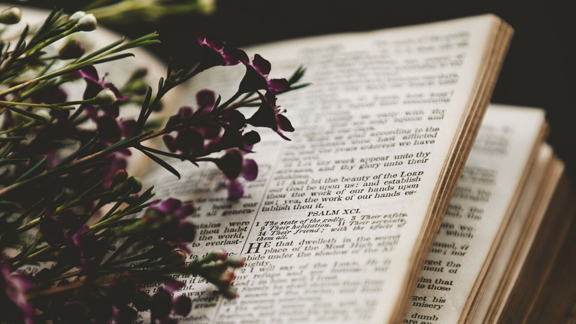 biblija ispit savjesti psalmi naslovna