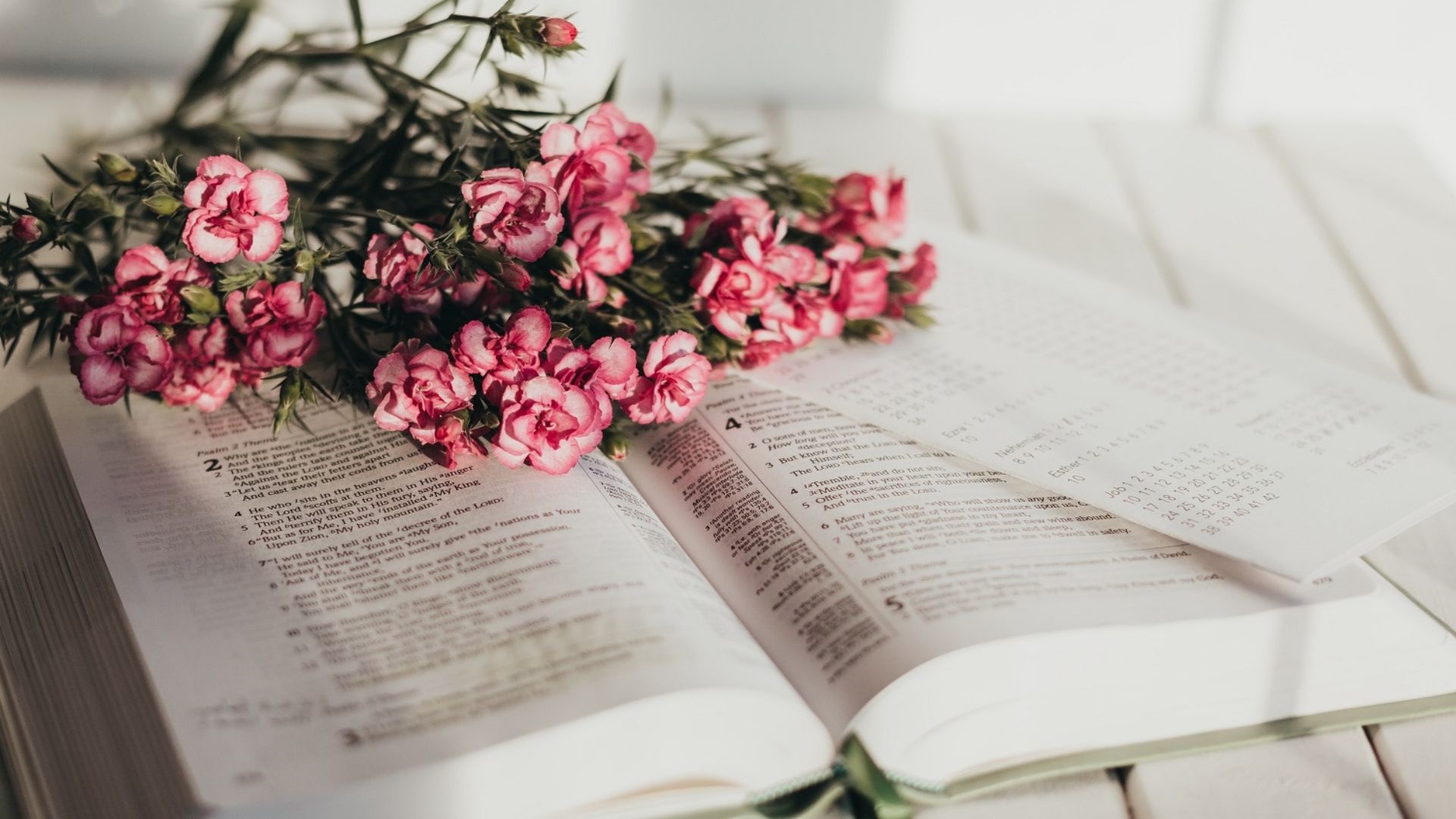 biblija molitva bible flowers unsplash naslovna