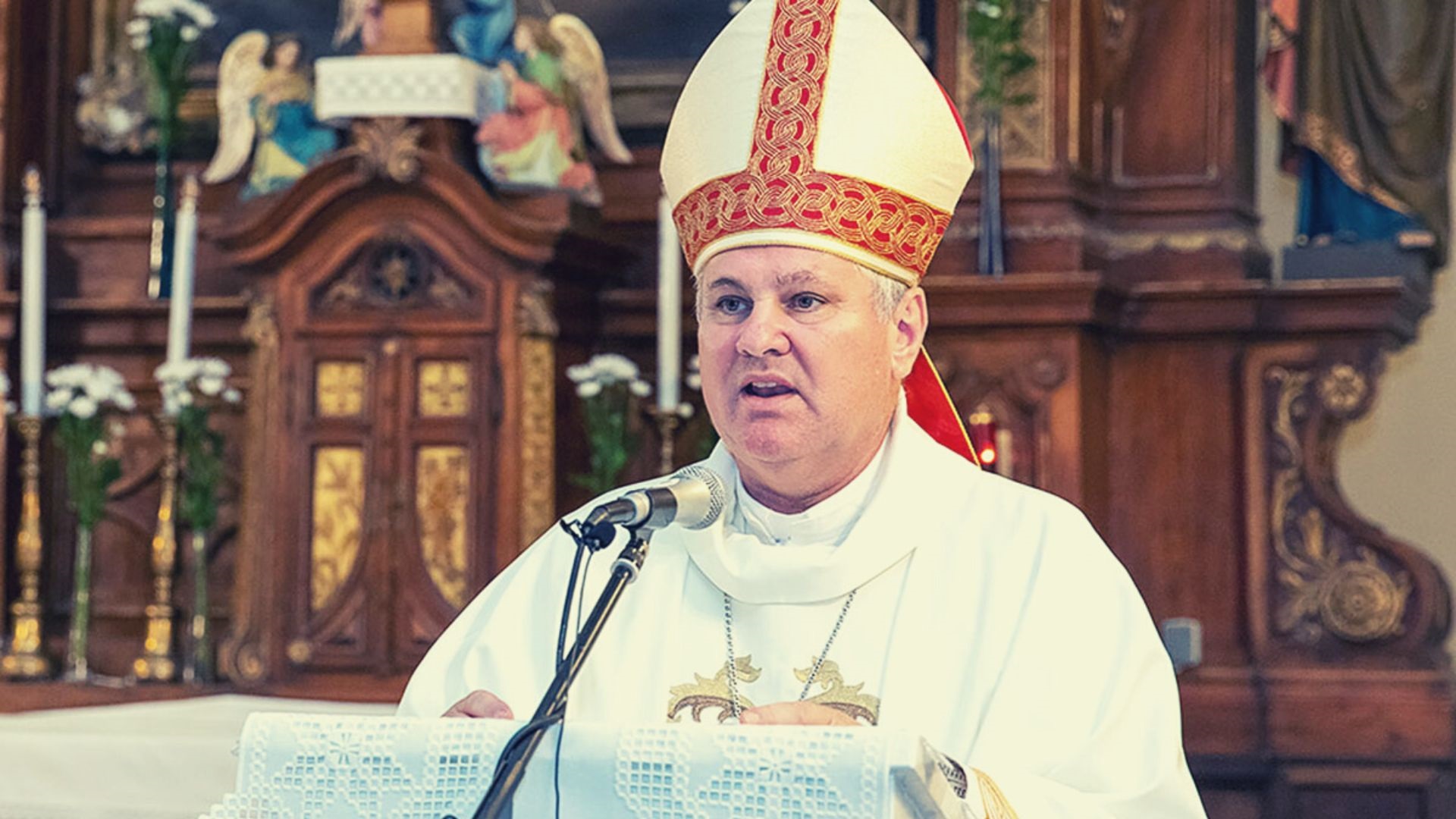 biskup košić naslovna