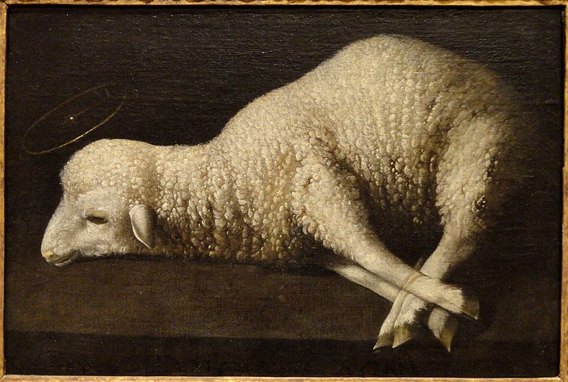 Agnus Dei The Lamb of God by Francisco de Zurbaran c. 1635 1640 San Diego Museum of Art DSC06627