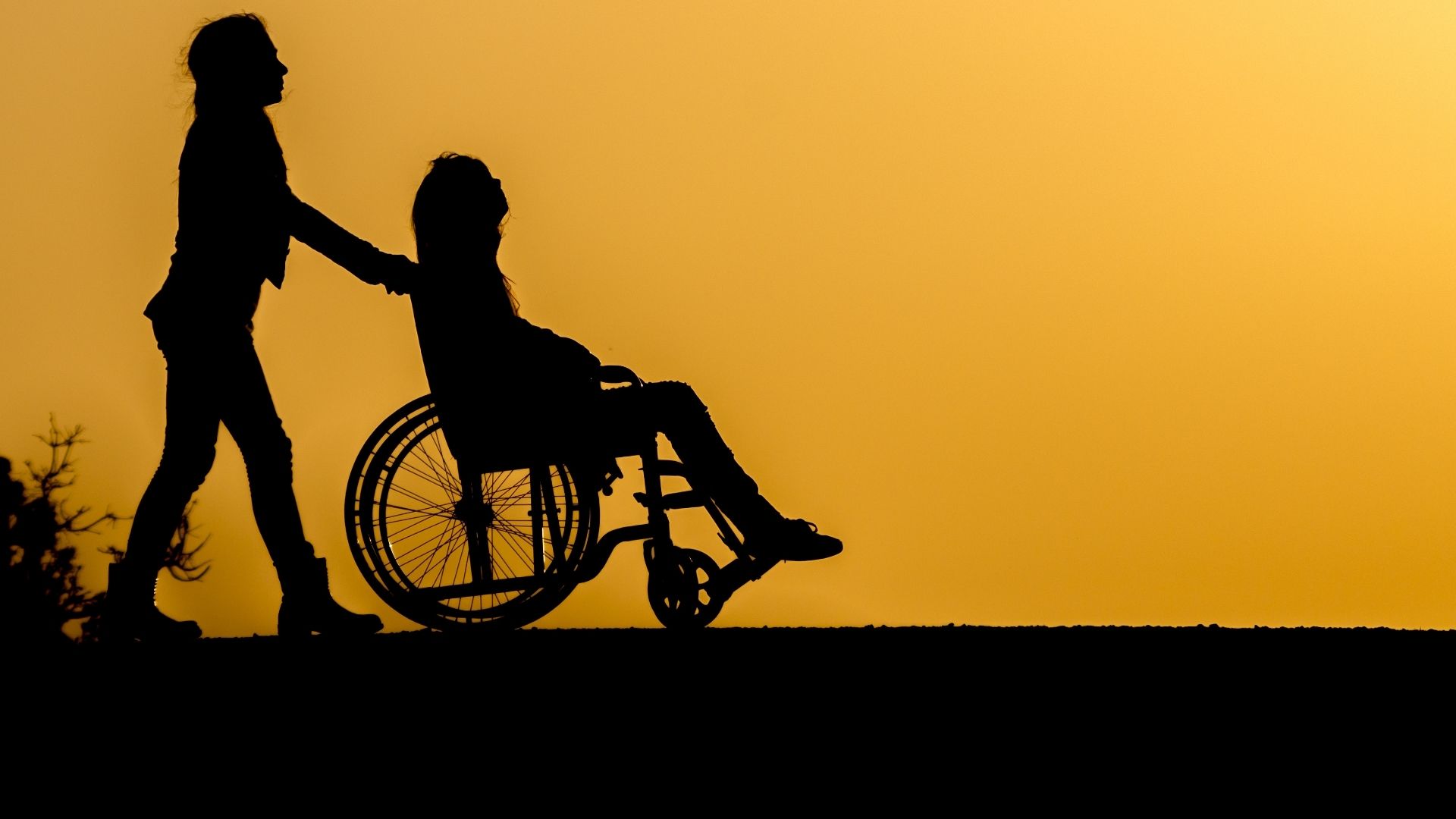 osobe s invaliditetom naslovno